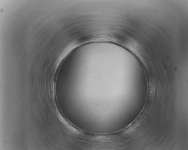 X0000062841476200601201625