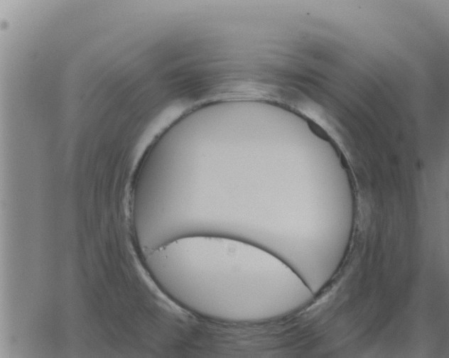 X0000062841477200601201625