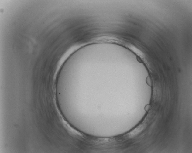 X0000062841478200601201625