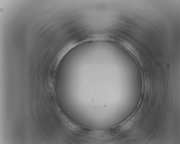 X0000062841481200601201625