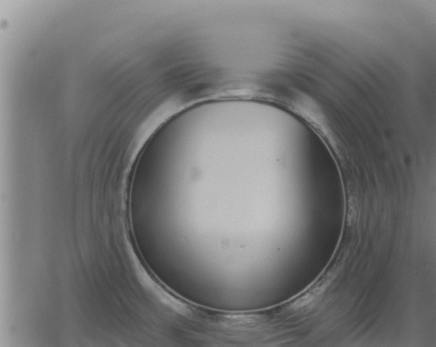 X0000062841483200601201625