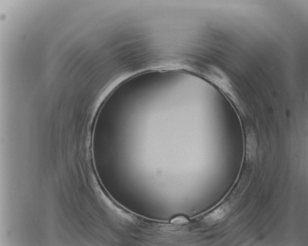 X0000062841484200601201625