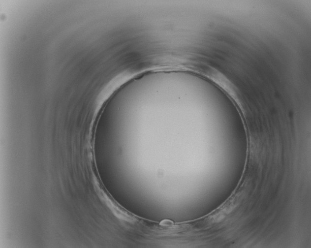 X0000062841485200601201625