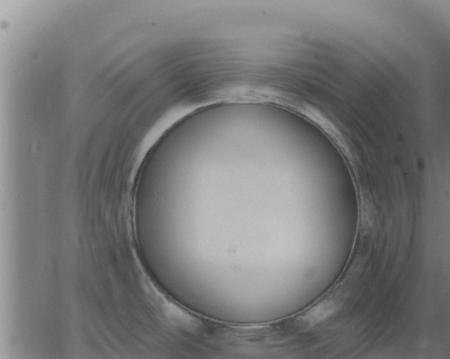 X0000062841486200601201625