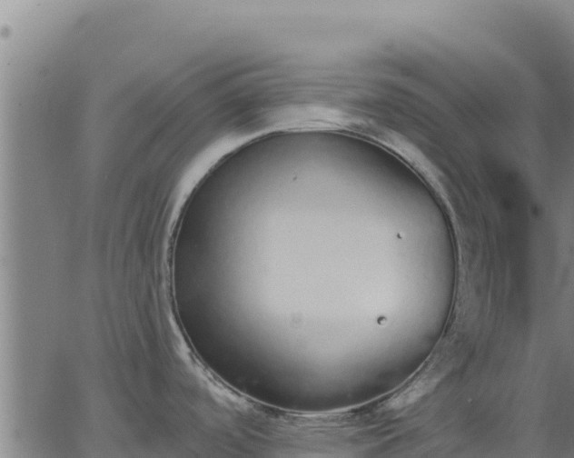 X0000062841488200601201625