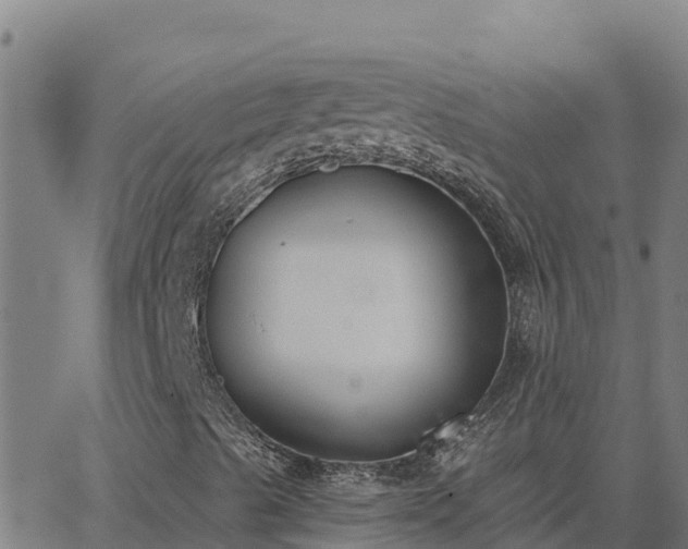 X0000062841489200601201624