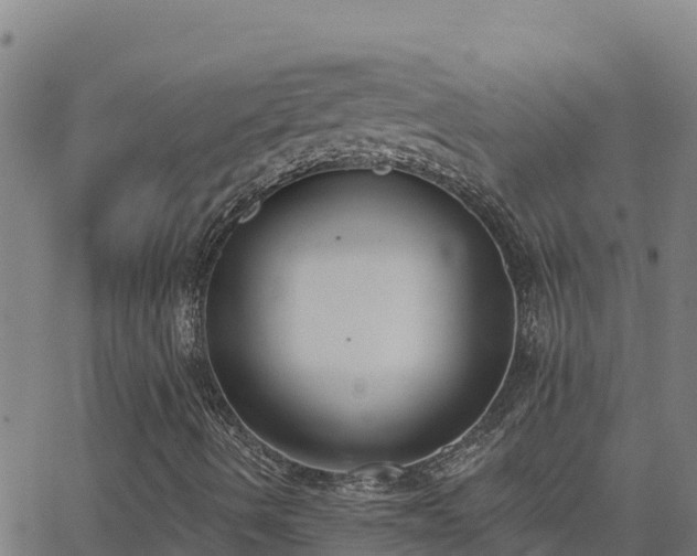 X0000062841490200601201624