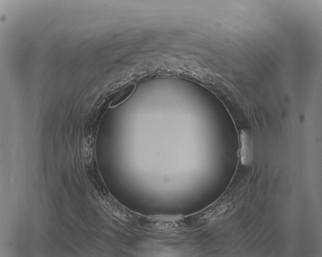 X0000062841491200601201624