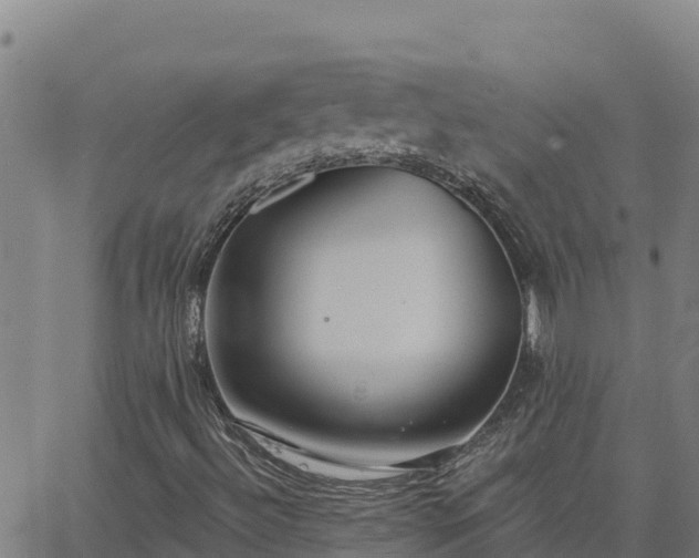 X0000062841492200601201624