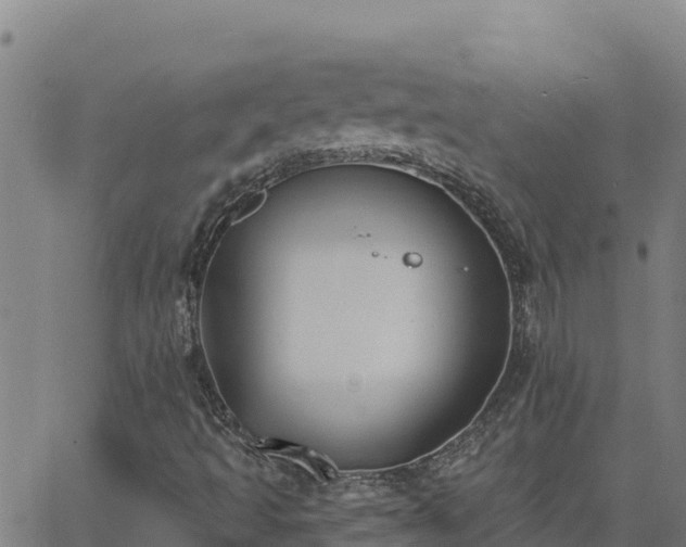 X0000062841493200601201624