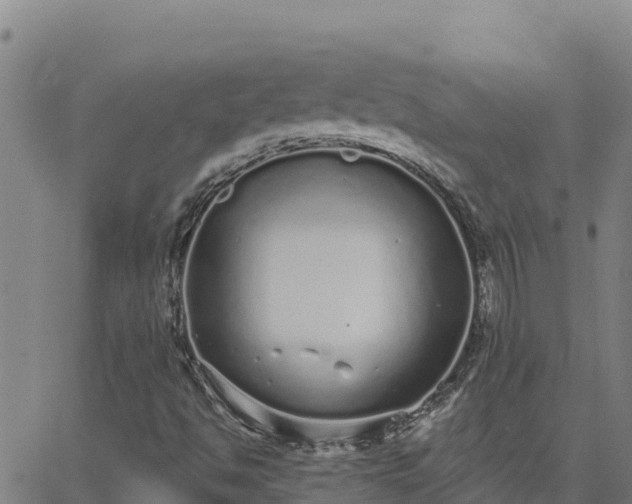 X0000062841494200601201624