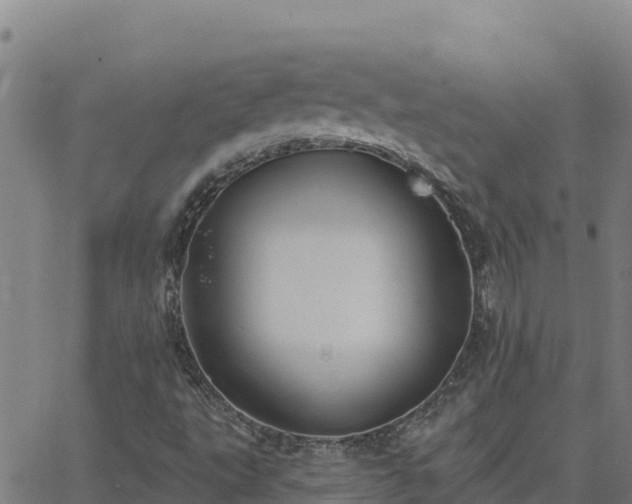 X0000062841495200601201624