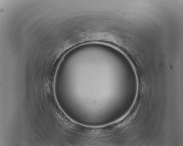 X0000062841497200601201624