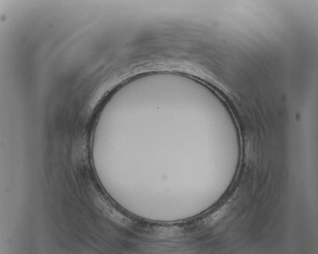 X0000062841498200601201625