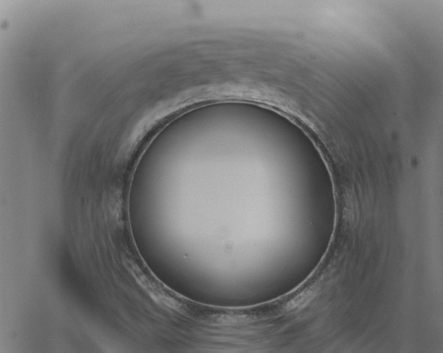 X0000062841499200601201625