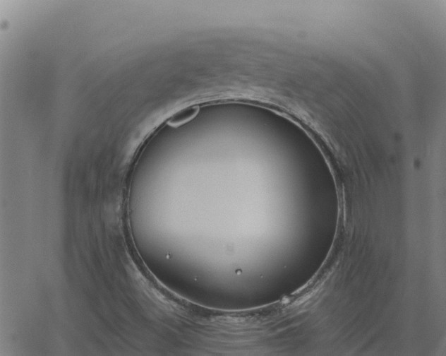 X0000062841500200601201625