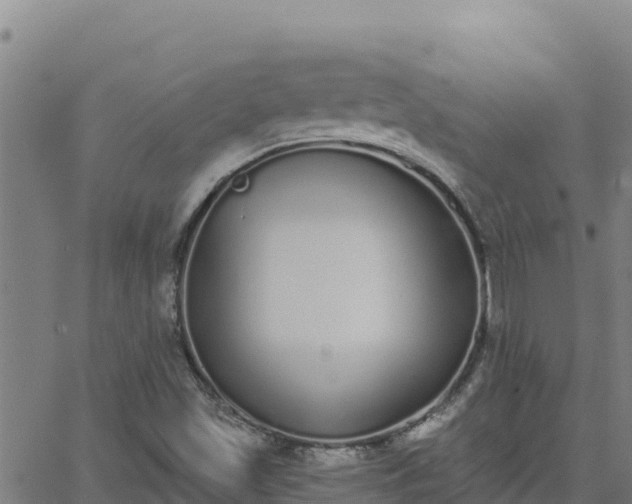 X0000062841501200601201625