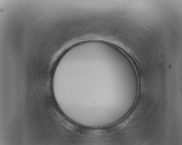 X0000062841502200601201625