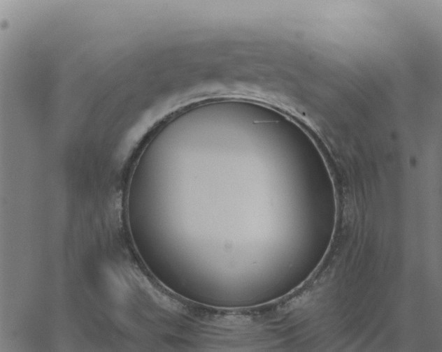 X0000062841503200601201625