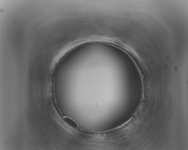 X0000062841504200601201625