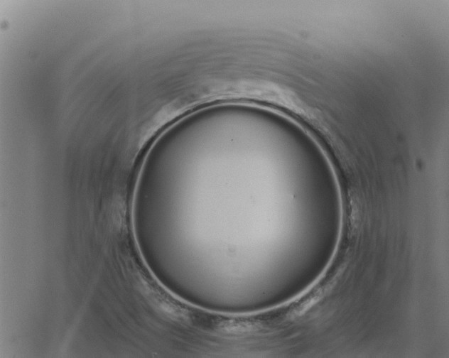 X0000062841505200601201625