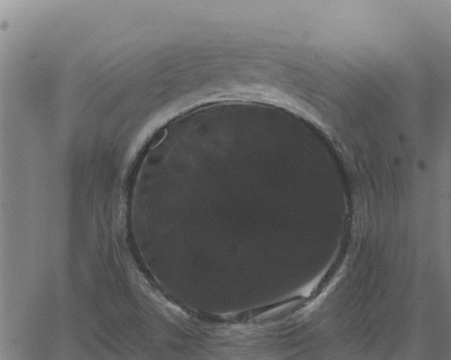 X0000062841506200601201625