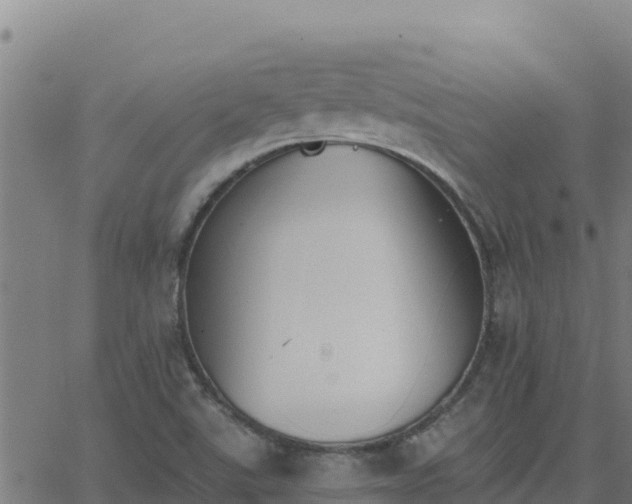 X0000062841507200601201625