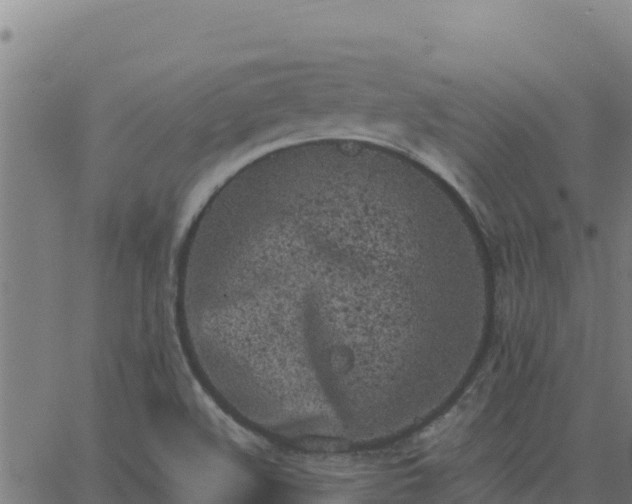 X0000062841508200601201625