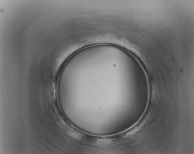 X0000062841509200601201625