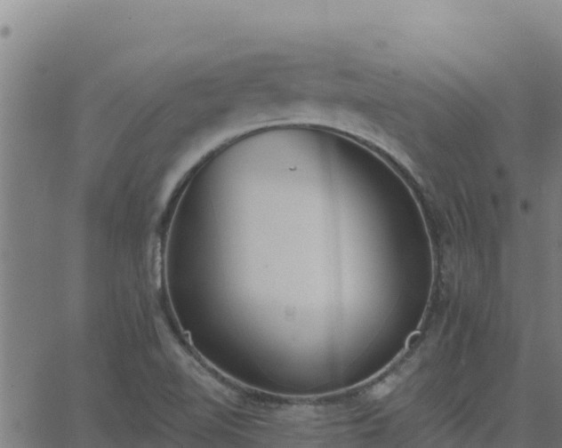 X0000062841510200601201625