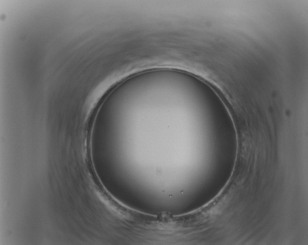 X0000062841511200601201625