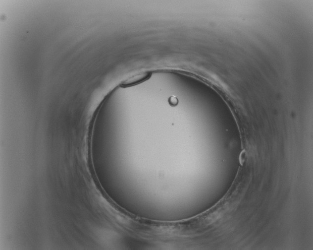 X0000062841512200601201625