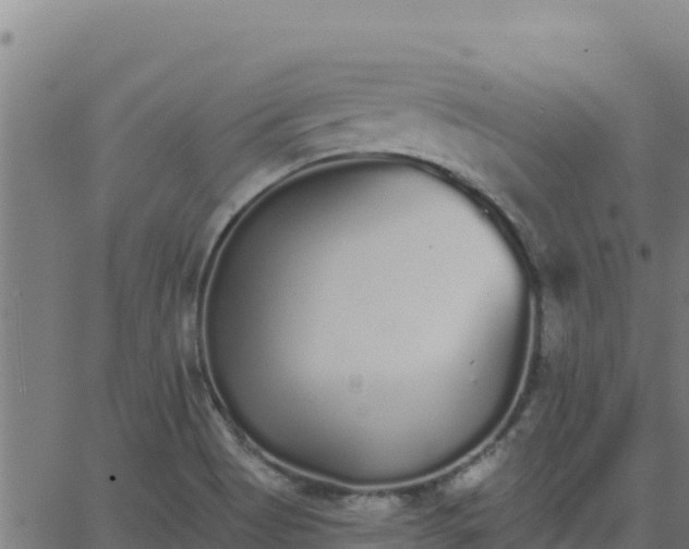 X0000062841513200601201625