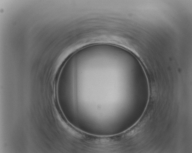 X0000062841515200601201625