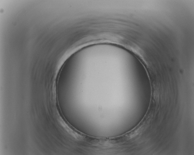 X0000062841516200601201625