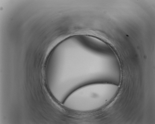 X0000062841517200601201625