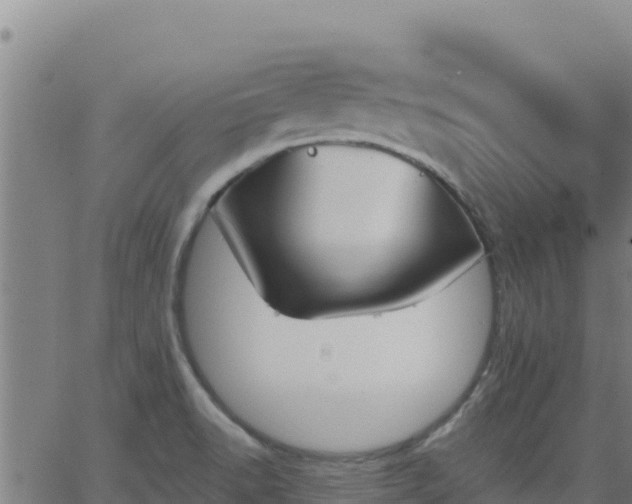 X0000062841518200601201625