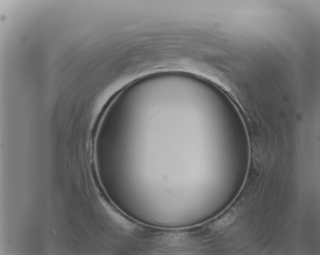 X0000062841519200601201625