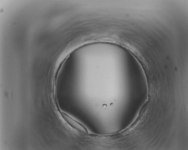 X0000062841520200601201625