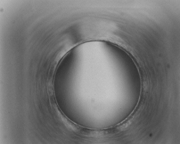 X0000062841521200601201625