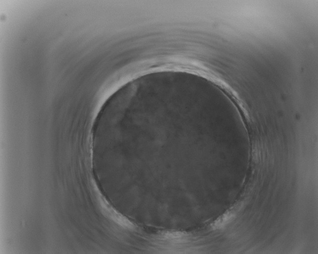 X0000062841522200601201625