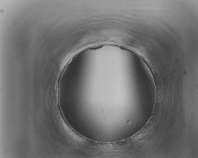 X0000062841524200601201625