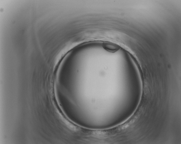 X0000062841525200601201625