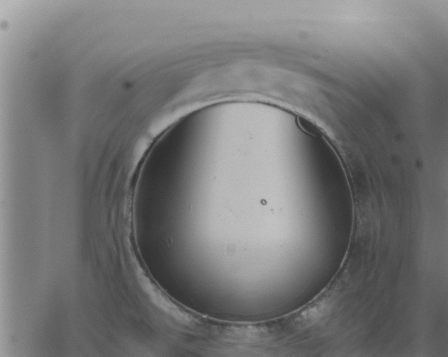 X0000062841526200601201625