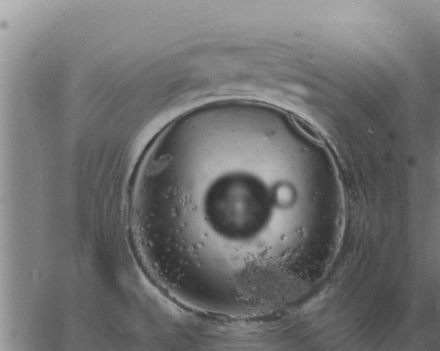 X0000062841527200601201625