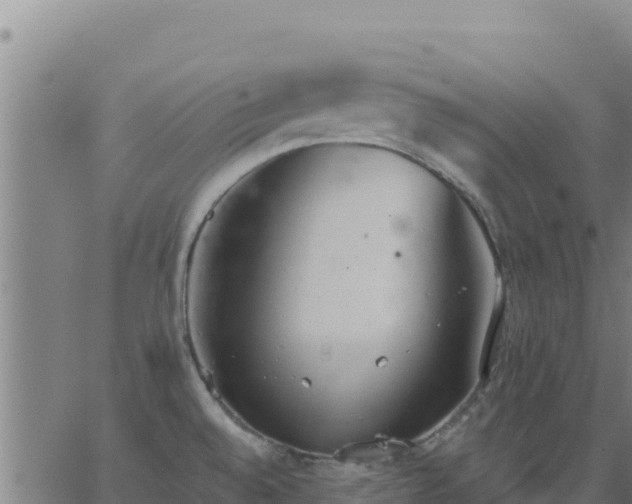 X0000062841528200601201625