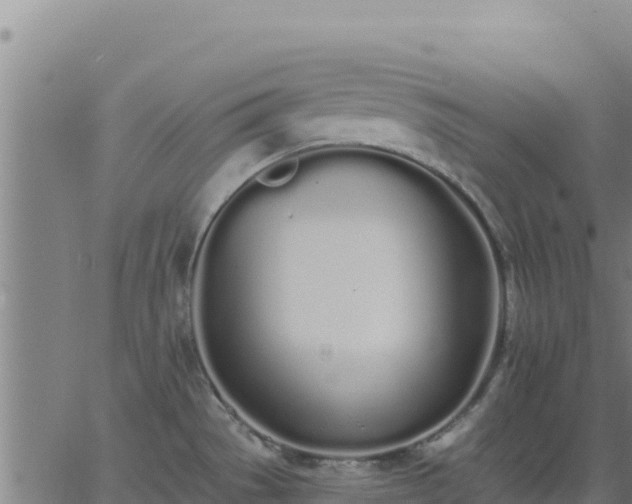 X0000062841529200601201625