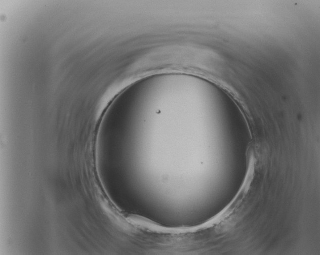 X0000062841530200601201625