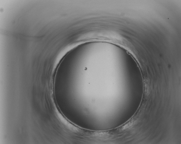 X0000062841531200601201625