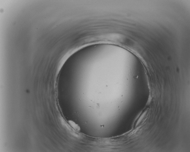 X0000062841532200601201625